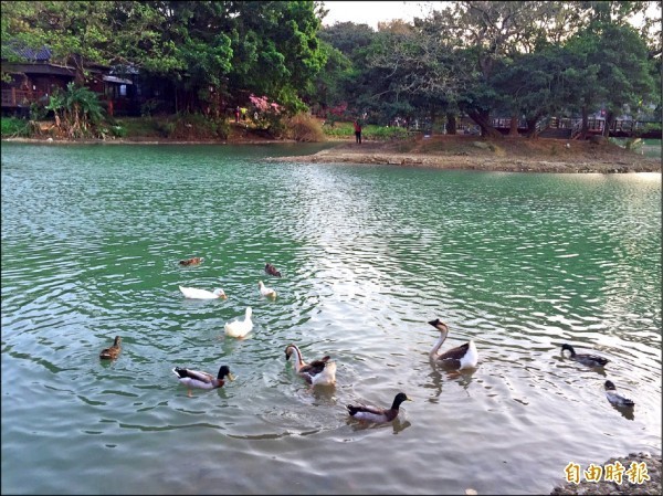 中國一名老翁在公園偷鴨蛋，加拿大女背包客發現他的行徑後，連忙制止。示意圖，與本文無關。（資料照）