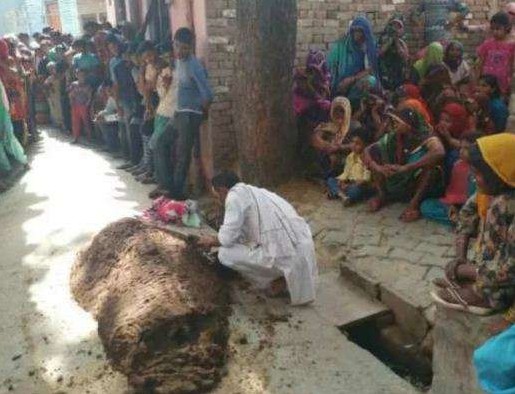 印度一名婦人遭蛇咬傷，丈夫因誤信偏方使用牛糞附蓋妻子全身治療，最終將她活活悶死。（圖擷自《dailyhunt》）