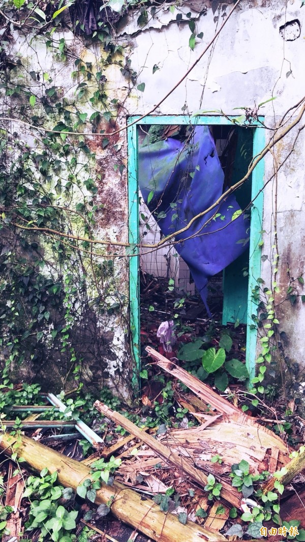 明德國中宿舍群屋舍頹圮、蚊蚋叢生。（記者林欣漢攝）