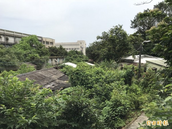 明德國中宿舍群。（記者林欣漢攝）