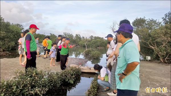 高雄市林園區海洋濕地公園潟湖出現極罕見的「藍色仙后」水母，且喜見剛誕生上千隻的小水母伴游，模樣可愛，令遊客大為驚艷。（記者洪臣宏攝）