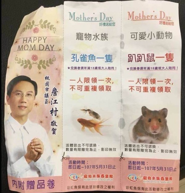 國民黨籍市議員詹江村慶祝母親節的方式竟然是送魚加老鼠，引起許多網友砲轟。（圖擷取自PTT）
