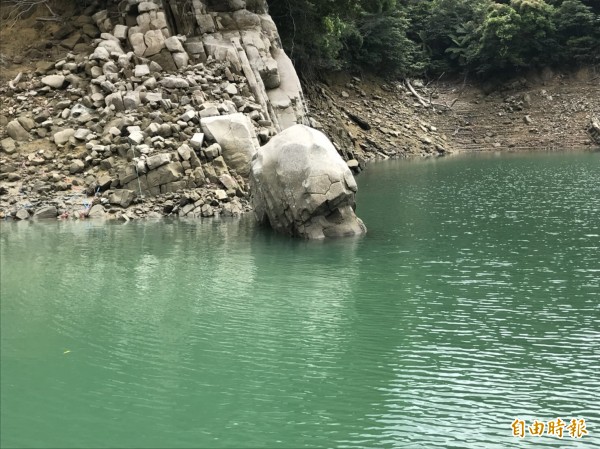 石門水庫觀察水情指標的「酋長石」也冒出頭。（記者李容萍攝）