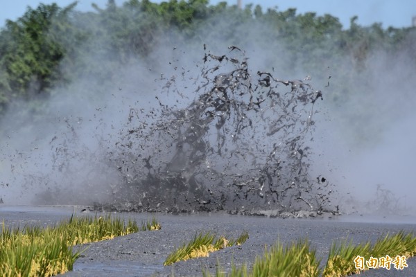 萬丹泥火山今噴發，高達2、3公尺。（記者葉永騫攝）