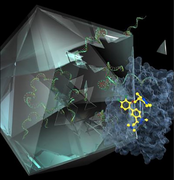 英國倫敦帝國學院科學家指出，新型分子結構「IMP-1088」（黃色處），可保護人體細胞中的蛋白質「NMT」（藍色處），防止感冒病毒（綠色處）「綁架」NMT以自行複製和傳播。（取自網路）