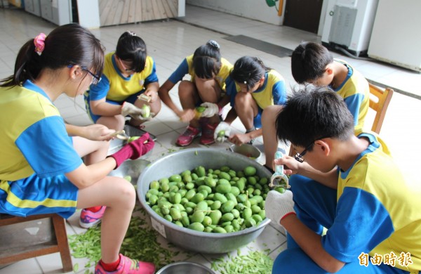 新生國小六年級學童趕在畢業前製作「芒果青」，希望幫助賴索托兒童完成教育。（記者陳冠備攝）