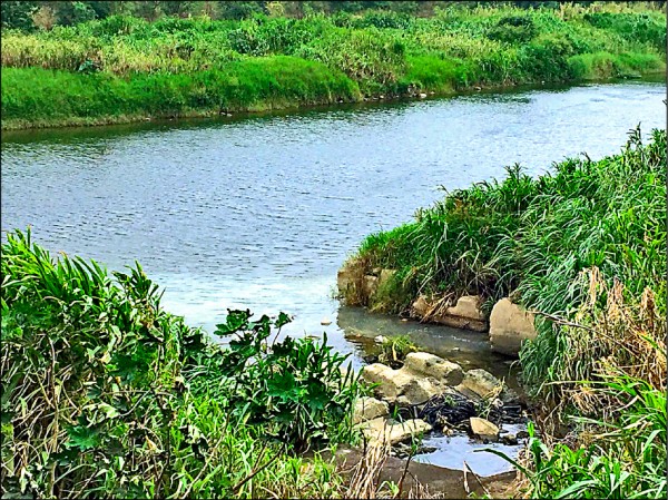 新竹鳳山溪每逢雨季容易溪水暴漲、水流湍急，莊男為救孫子跳下水，遭溪流沖離岸邊，被救上岸後送醫不治。（記者廖雪茹翻攝）