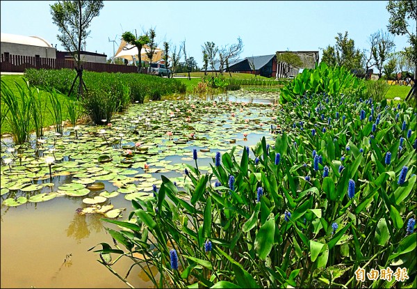 農博生態池公園植物多元翠鳥頻到訪 地方 自由時報電子報