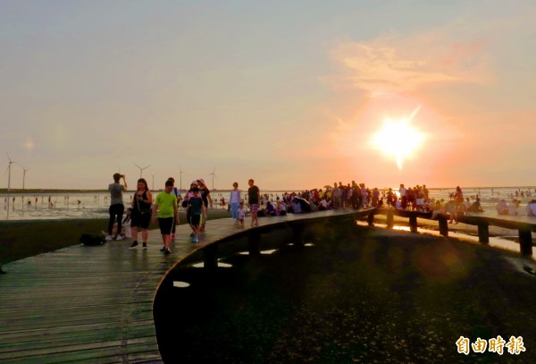 台中市政府農業局於即日起推出12場高美濕地免費導覽。（資料照）