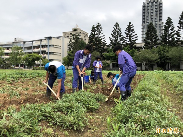 農委會有獎勵高中從農方案，桃園市也自辦青年從農方案，學生畢業後能接續申請。（記者陳昀攝）