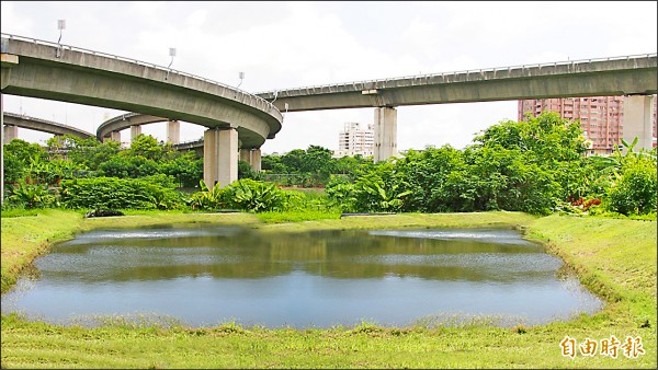 極端氣候屢屢造成都市淹水，包括公園、道路等都須設置滯洪設施。圖為高市鼎金系統交流道下方，利用周邊綠帶施作滯洪池。
（記者陳文嬋攝）