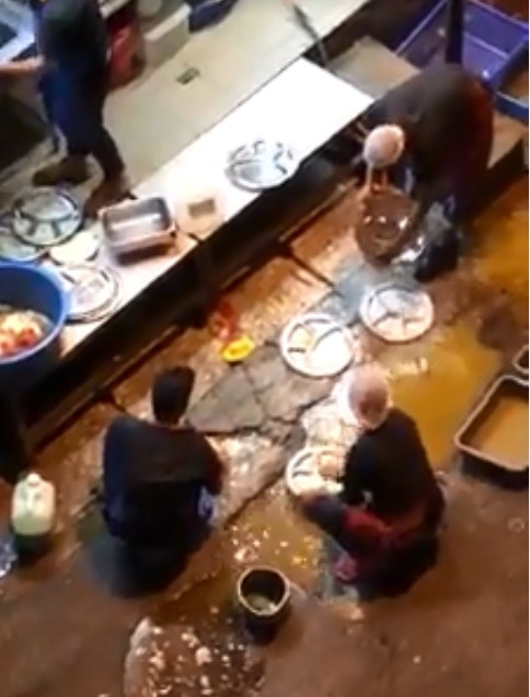 Raj's Banana Leaf日前被人拍下，餐廳員工竟在後巷用路邊積水洗碗。（圖擷自《Penang Online》臉書）