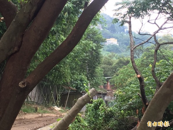 男子何良鑑昨天下午砍死弟弟後，徒步逃往溪山山區，警方今天上午在一處工寮發現何男已畏罪自盡。（記者陳恩惠攝）