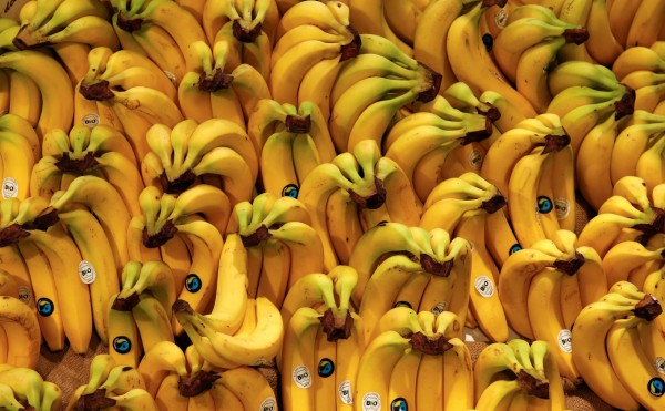 台灣香蕉價格崩盤，不但農民叫苦連天，農委會也被這個問題搞得焦頭爛額。（路透）
