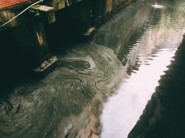 圖為基隆市自來街後方的旭川河水面上，泛起一陣一陣的油漬，噁心的廢油味讓居民大呼受不了。（記者俞肇福翻攝）