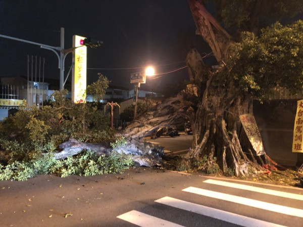 台南市東區德高厝地標百年老榕樹，二十五日晚間從樹幹中間斷裂倒地。（記者王俊忠翻攝）