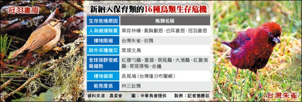 新納入保育類的16種鳥類生存危機