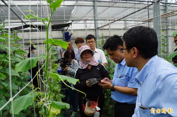 台大植物醫師團進入溫室，為農民診斷農作物的問題。（記者詹士弘攝）
