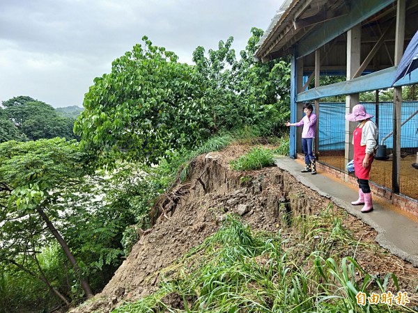 嘉義縣水上鄉一處養雞場旁邊坡土壤不斷流失，大雨後變成懸崖。（記者林宜樟攝）