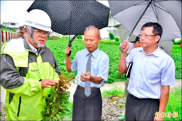 雨後花生腐莢嚴重，雲林縣長李進勇（左）宣布，縣府每公頃花生加碼補貼一萬元。（記者詹士弘攝）