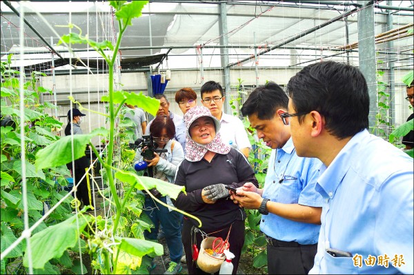 台大植物醫師團進入溫室，為農民診斷農作物的問題。（記者詹士弘攝）