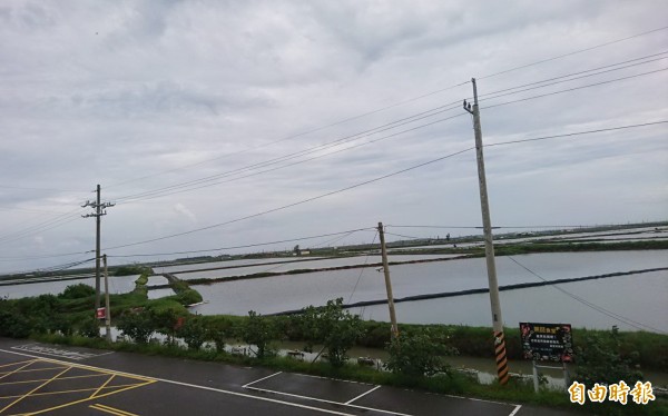台南七股海埔新生塭段魚塭，綠能業者積極搶進布局。（記者楊金城攝）