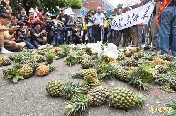 約200名鳳梨農民4日到立法、行政兩院抗議鳳梨價格崩跌。（資料照）