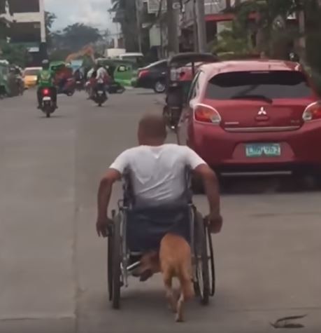 殘疾男子推著輪椅前進，愛犬則在後方用鼻頭、肩頸頂著車體，為主人分擔勞力。（擷取自YouTube）