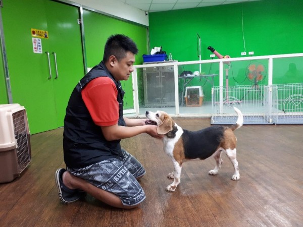 寵物訓練師陳勝宏表示，讓狗狗主動訓練開心玩，因為狗狗喜歡主人開心笑更勝於獎勵。（記者蕭皓文攝）