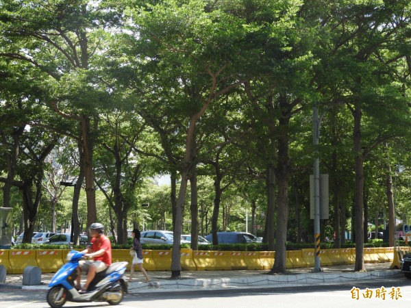 高雄輕軌二階美術館段即日起復工，同步啟動美術館園道工程。（記者葛祐豪攝）