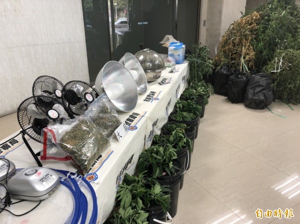 個人對園藝有興趣 水電工用7顆種子種出大麻園 社會 自由時報電子報