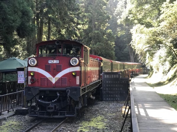 2015年9月杜鵑颱風來襲，造成阿里山鐵路42號隧道嚴重崩塌，至今無法全線通車。（林務局提供）