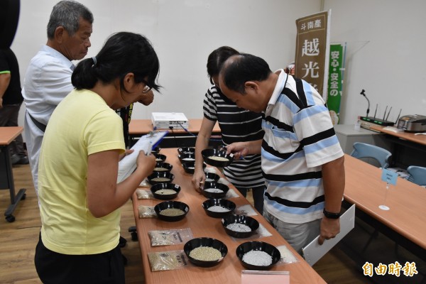 斗南農會稻米達人比賽評審進行米質外觀評分。（記者黃淑莉攝）