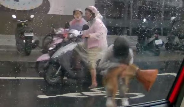 女騎士發現狗狗坐在馬路中間淋雨，連忙將牠抱起遠離車潮。（圖擷取自爆料公社）