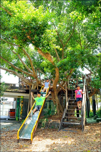 校園內的樹屋是小朋友最愛的設施，可爬上樹梢探險，再從溜滑梯溜下，刺激又有趣。（記者陳宇睿／攝影）