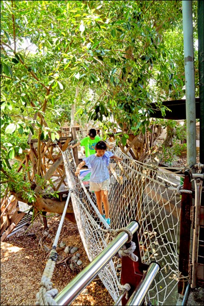 樹屋與校舍之間有單索吊橋連結，探索完樹屋後可直接通往校舍，回教室上課。（記者陳宇睿／攝影）