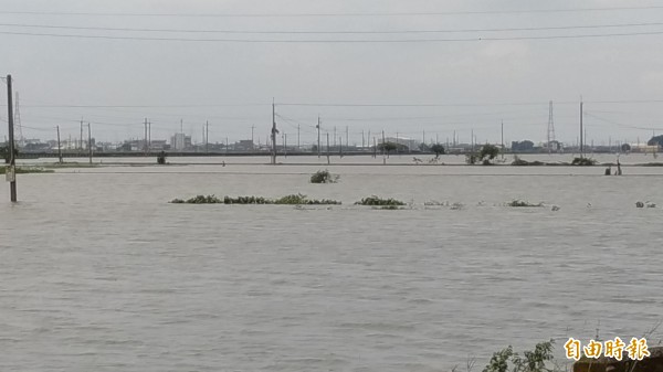 雨停了，抽水站排放不了，雲林元長地區的農田全泡在水裡。（記者廖淑玲攝）