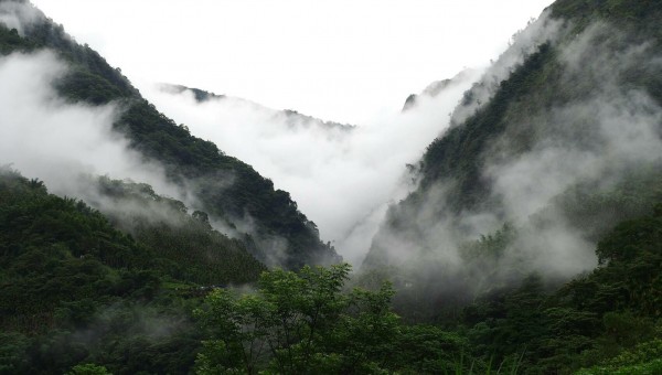 信義鄉山區近期經常下雨，雨後山巒雲霧繚繞，便成了一幅自然的潑墨山水畫。（呂秋明提供）