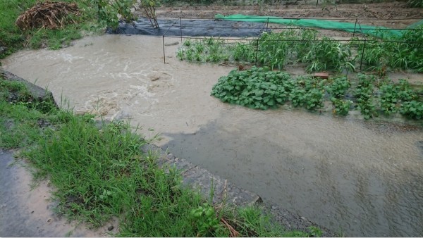 鶯歌區的尖山路101巷10號位處低窪，加上排水系統問題，強降雨都會造成淹水。（民眾提供）