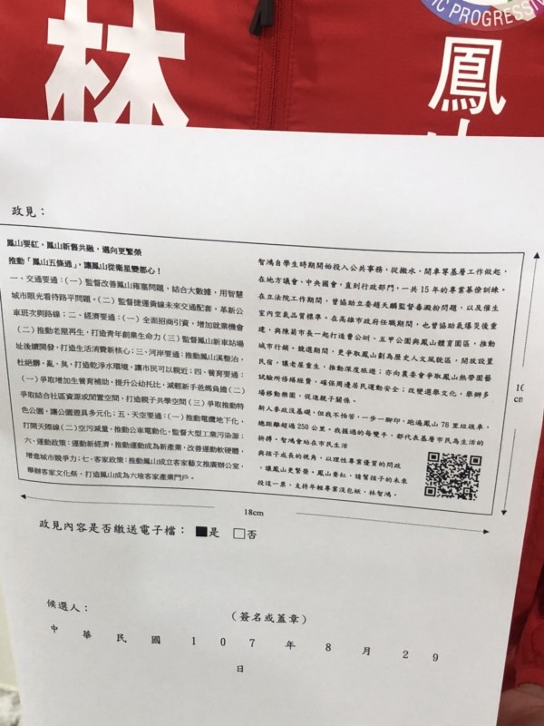 綠選將不滿政見變成螞蟻字，批選舉公報放寬字數限制玩假的。（記者陳文嬋翻攝）