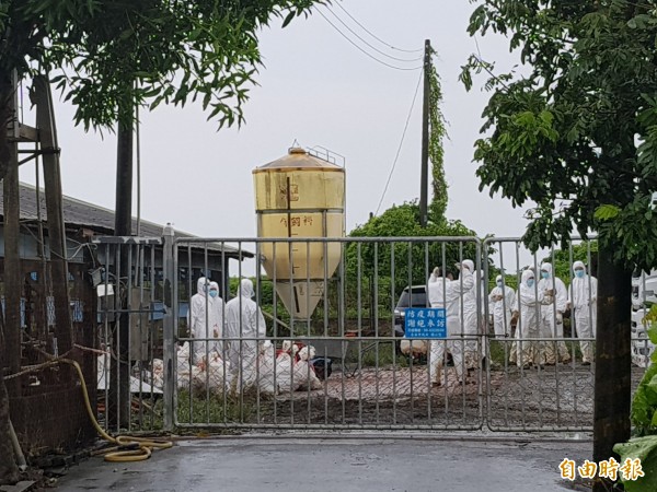 台南市已公告為辦理農業天然災害現金救助及低利貸款地區，救助申請至9月4日截止，農業局呼籲農漁民儘速向受災地區公所提出申請。（資料照，記者王涵平攝）