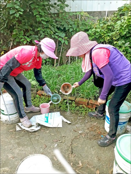 台中市登革熱疫情持續延燒，衛生人員清除積水容器。（記者蔡淑媛翻攝）