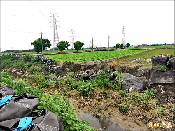 大雨過後，馬光大排中下游段緊急護堤的砂包東倒西歪，農民要求儘速整治。（記者廖淑玲攝）