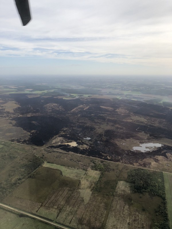 森林大火延燒至今已經2週多，德國當局仍然無法控制火勢。（歐新社）