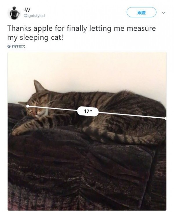 蘋果公司（Apple）17日推出iOS 12的新系統版本，此次新版本中有一個名為「測距儀」（Measure）的新APP，讓民眾捲起一陣「測量風」，走到哪都要測一下！（圖擷自 @igotstyled twitter）