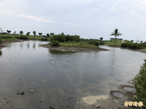 林園濕地公園人工湖昨天已恢復正常水位。（記者洪臣宏攝）