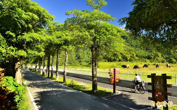 花蓮吉安鄉干城社區素有「綠色小鎮」稱譽，農村田園景色怡人，常吸引遊客走訪，但每逢豪雨就會淹大水，已讓當地居民苦不堪言。（記者王峻祺攝）