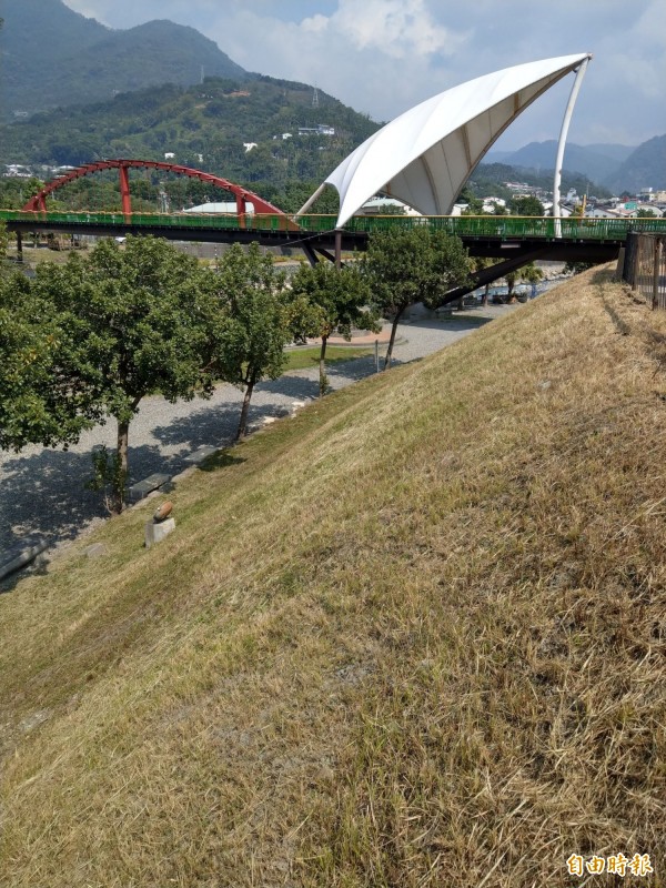 水里鄉親水公園草坡疑似遭人噴藥破壞，原本的綠意現在卻變成枯黃景象。（記者劉濱銓攝）