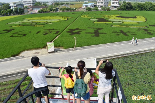 遊客登上觀景台，欣賞台南好米季稻田彩繪可愛圖案。（記者楊金城攝）