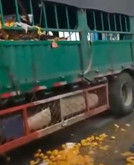 中國一輛裝滿橘子的貨車因為車禍卡在路邊。（圖擷自微博）
